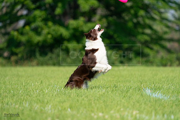 RielVisuals_20240727_095817_SJR08122