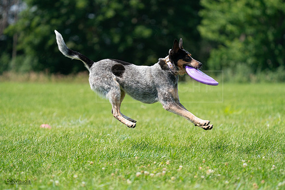 RielVisuals_20240728_115351_SJR02345