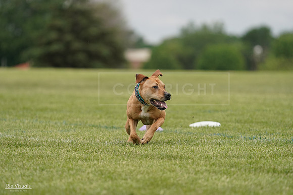 RielVisuals_20240526_135017_SJR09201