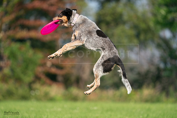 RielVisuals_20240727_093848_SJR07043