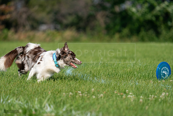 RielVisuals_20240728_100016_SJR06962