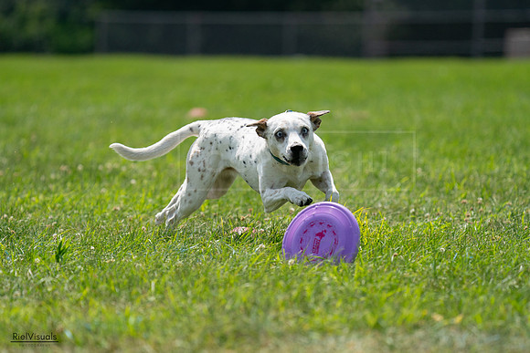 RielVisuals_20240728_140022_SJR07767