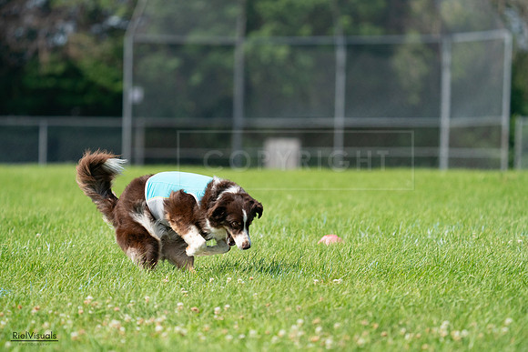 RielVisuals_20240728_101949_SJR07802