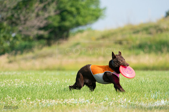 RielVisuals_20240727_092445_SJR06187