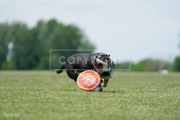 RielVisuals_20240525_123143_SJR00213