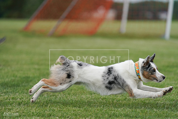 RielVisuals_20240525_165225_SJR05646