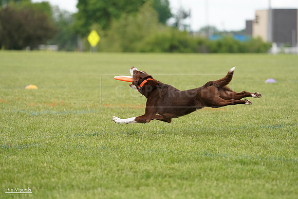 RielVisuals_20240527_140311_SJR01287