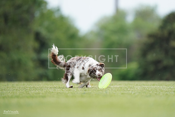 RielVisuals_20240525_161038_SJR03646