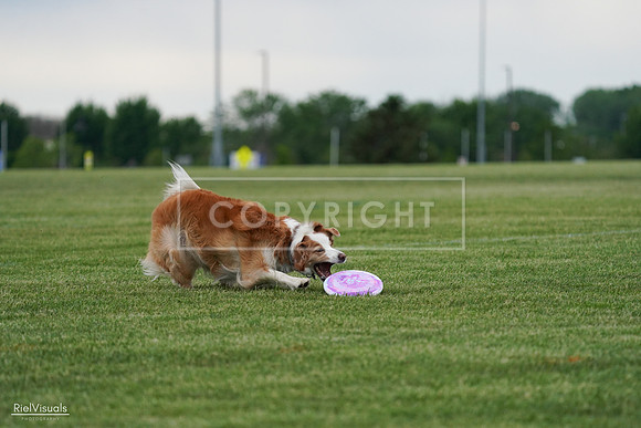 RielVisuals_20240525_170827_SJR06245