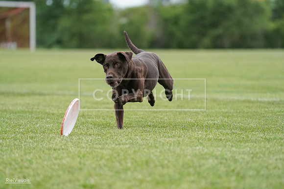 RielVisuals_20240525_162830_SJR04561