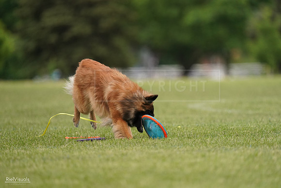 RielVisuals_20240526_134753_SJR09125
