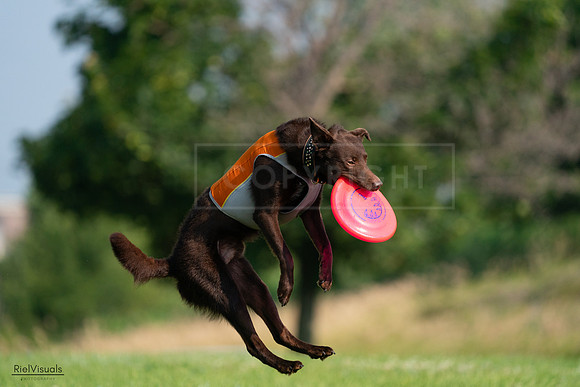 RielVisuals_20240727_092520_SJR06290