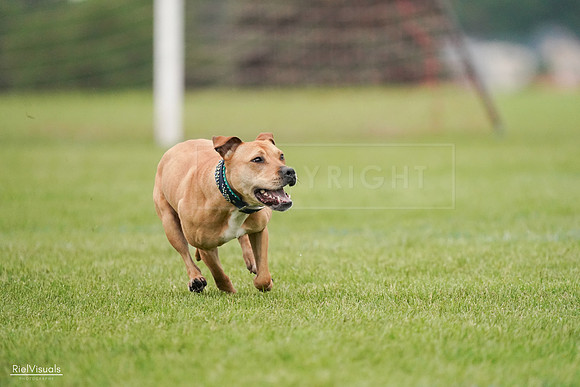 RielVisuals_20240527_111156_SJR03387