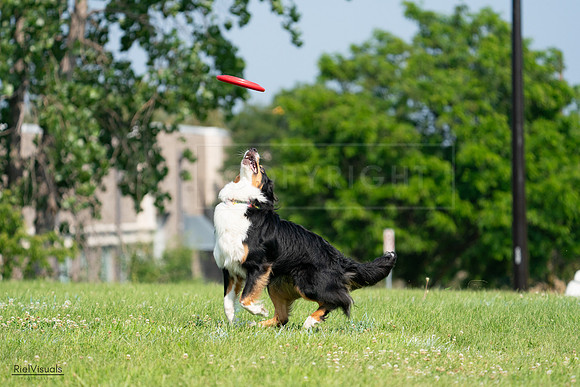 RielVisuals_20240728_101801_SJR07692