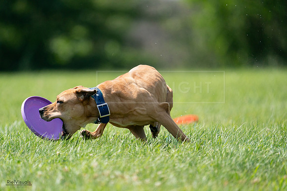 RielVisuals_20240728_150713_SJR00128
