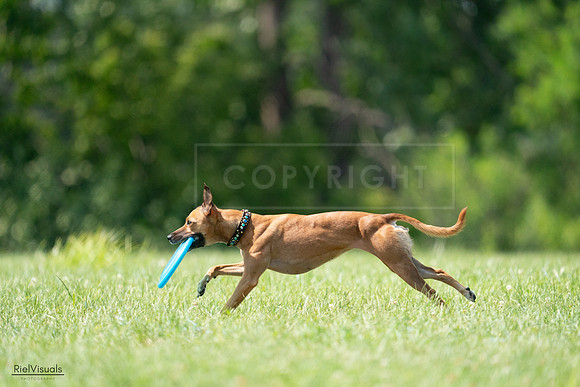 RielVisuals_20240728_150215_SJR09891