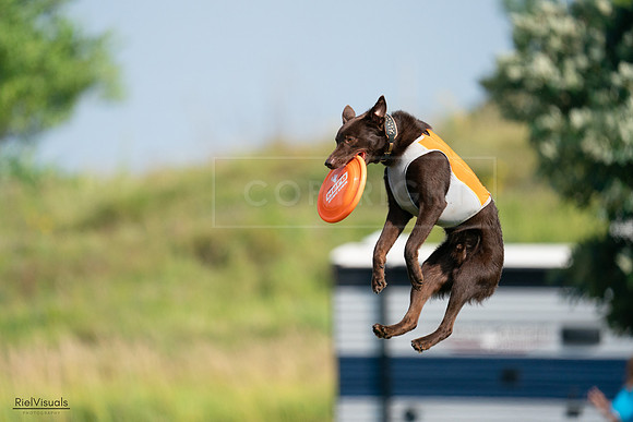 RielVisuals_20240728_095854_SJR06859