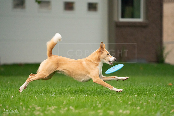 RielVisuals_20240722_200901_SJR03014