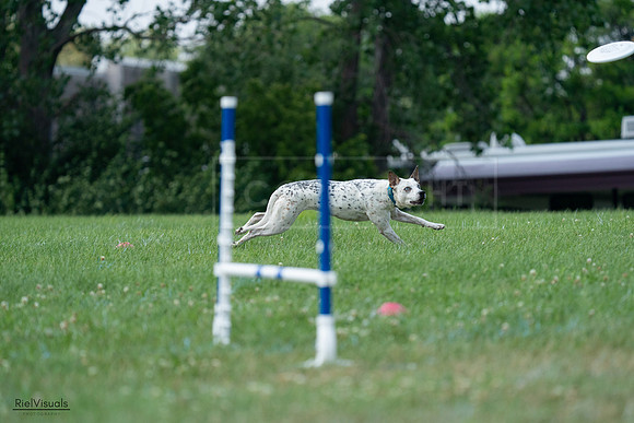 RielVisuals_20240727_145141_SJR01455