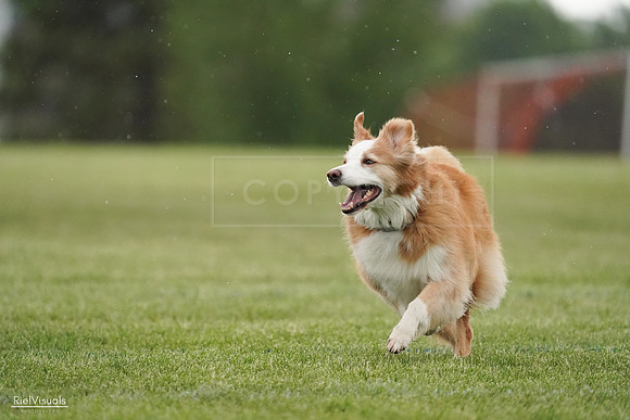 RielVisuals_20240526_094024_SJR00749