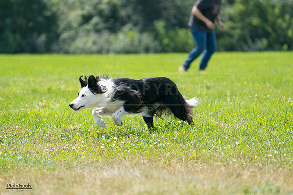 RielVisuals_20240728_130401_SJR04972