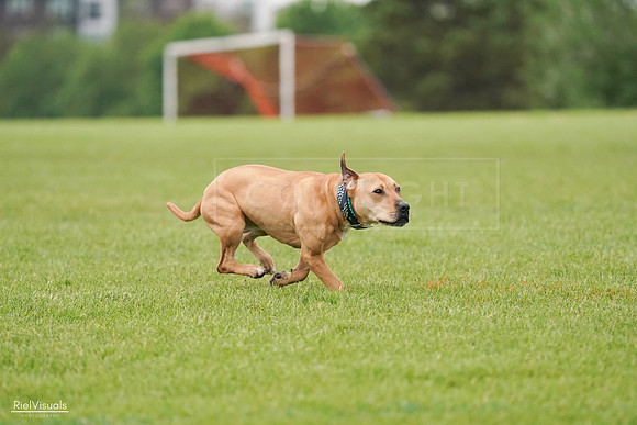 RielVisuals_20240527_111110_SJR03301