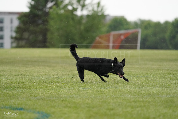 RielVisuals_20240526_092232_SJR09770