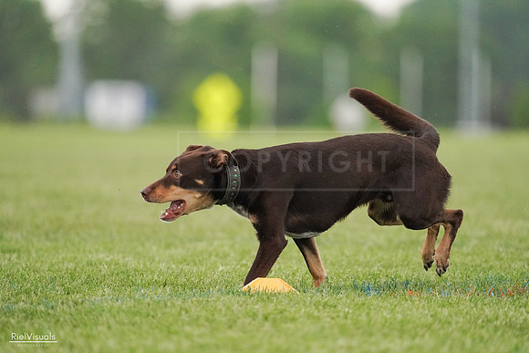 RielVisuals_20240526_095704_SJR01462