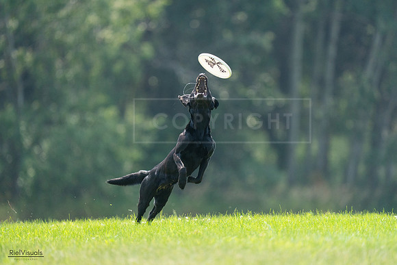 RielVisuals_20240727_121805_SJR05249