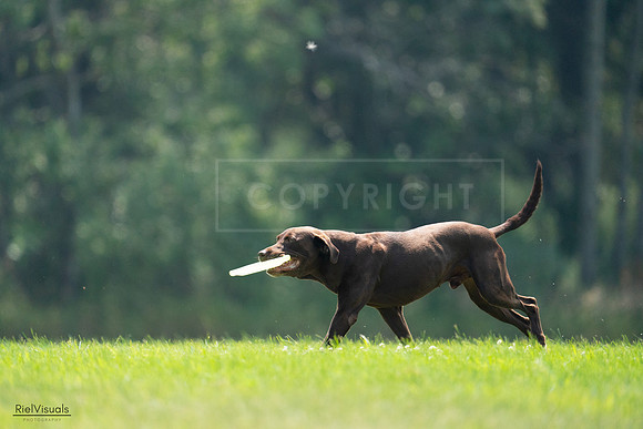 RielVisuals_20240727_123407_SJR05915