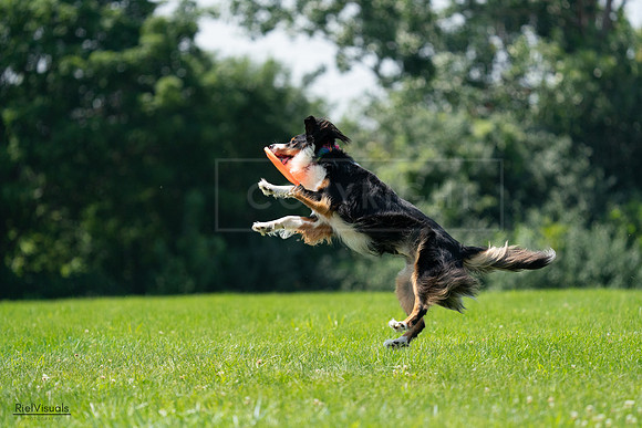 RielVisuals_20240728_121623_SJR03461