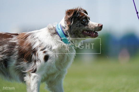 RielVisuals_20240525_120633_SJR08721