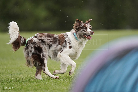 RielVisuals_20240526_091528_SJR09551