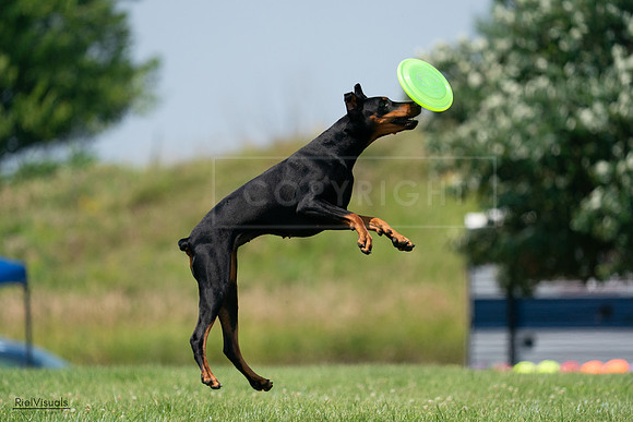RielVisuals_20240727_135342_SJR08819