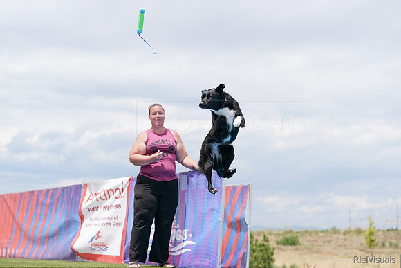 SJR09769
