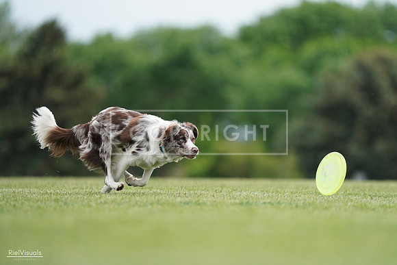 RielVisuals_20240525_161058_SJR03696