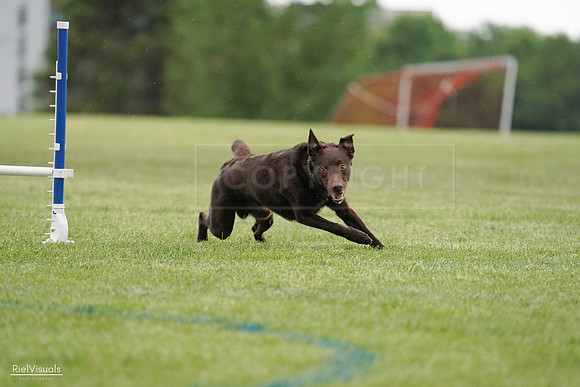 RielVisuals_20240526_091045_SJR09368