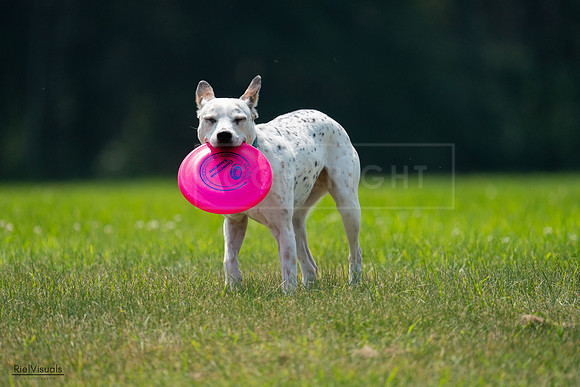 RielVisuals_20240727_120945_SJR04883
