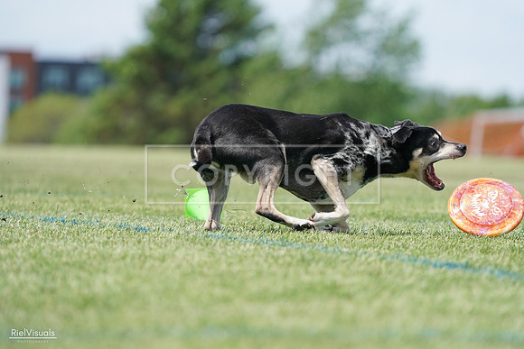 RielVisuals_20240525_123145_SJR00254