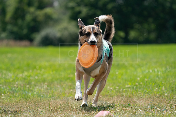 RielVisuals_20240728_140302_SJR07887