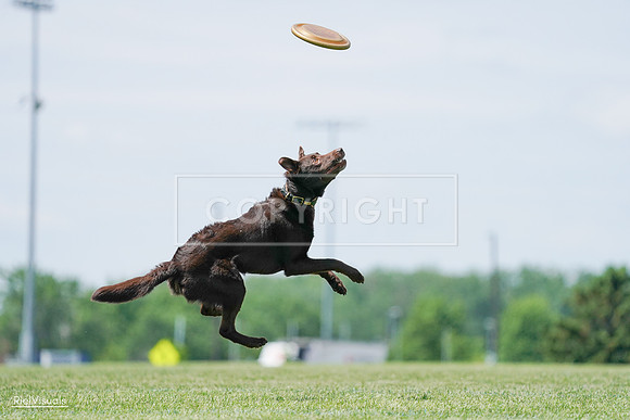 RielVisuals_20240525_120811_SJR08774