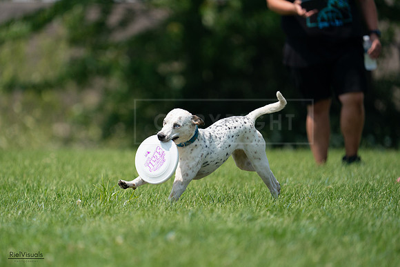 RielVisuals_20240727_134711_SJR08534