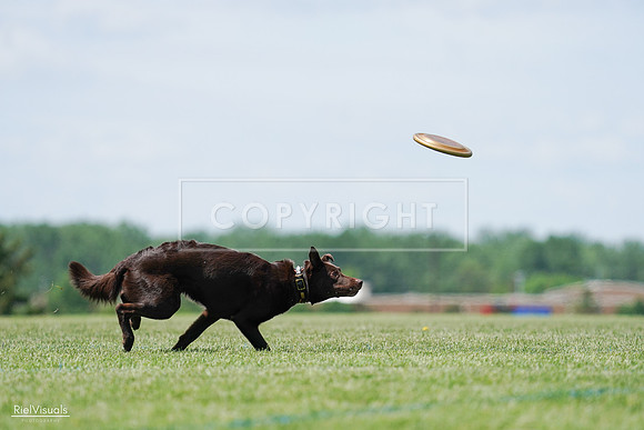 RielVisuals_20240525_120812_SJR08785