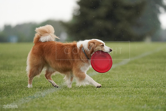 RielVisuals_20240526_094020_SJR00733
