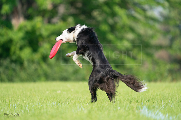 RielVisuals_20240727_092630_SJR06384