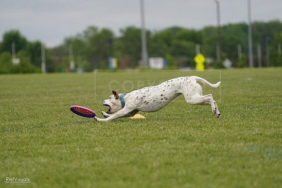 RielVisuals_20240526_134230_SJR08776