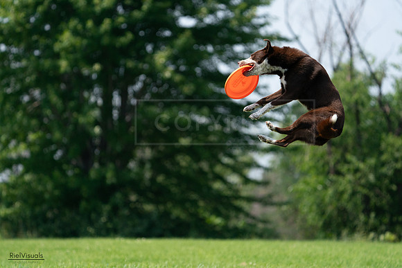 RielVisuals_20240727_135056_SJR08636