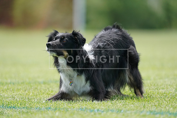 RielVisuals_20240525_123801_SJR00595
