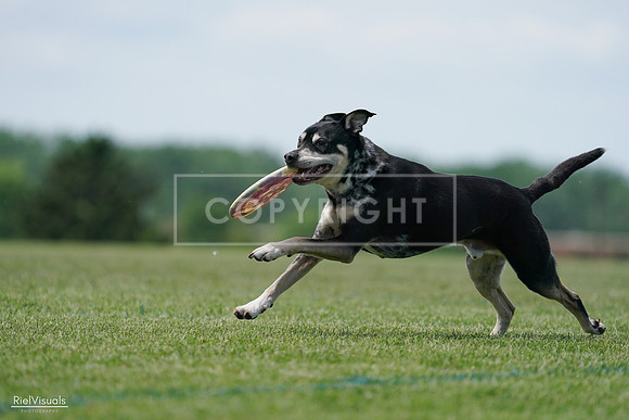 RielVisuals_20240525_123106_SJR00128