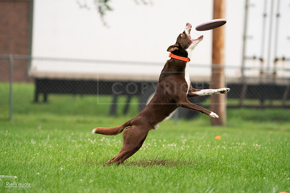 RielVisuals_20240722_191842_SJR00531